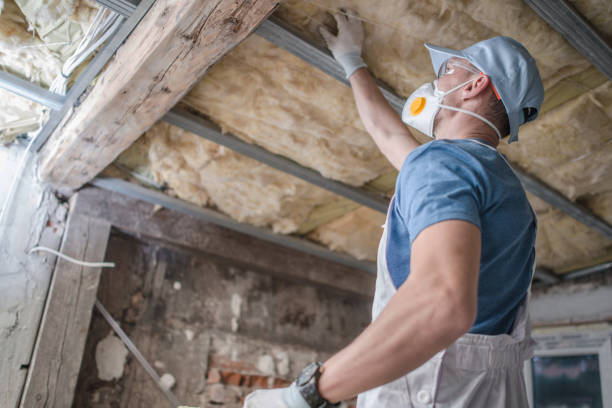 Best Insulation Inspection Services  in Dexter, MI
