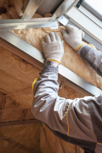 Best Professional Insulation Contractor  in Dexter, MI