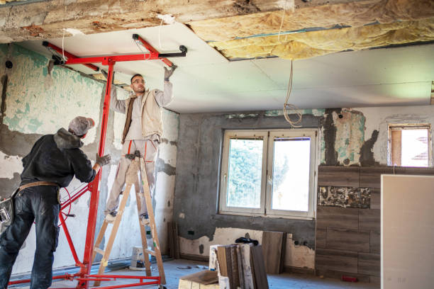 Best Insulation Repair Services  in Dexter, MI