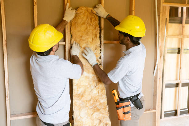 Best Insulation Replacement Services  in Dexter, MI