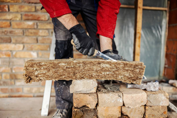 Best Insulation Contractor Near Me  in Dexter, MI