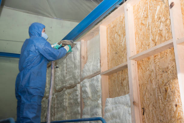 Best Insulation for New Construction  in Dexter, MI