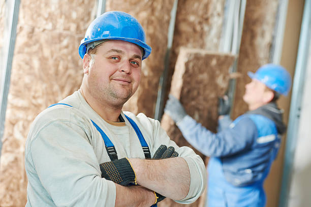 Best Affordable Insulation Services  in Dexter, MI