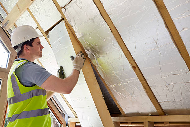 Best Insulation Replacement Services  in Dexter, MI