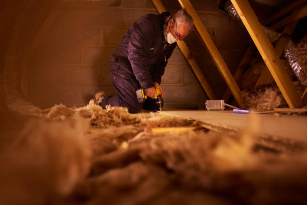 Best Energy-efficient Insulation  in Dexter, MI